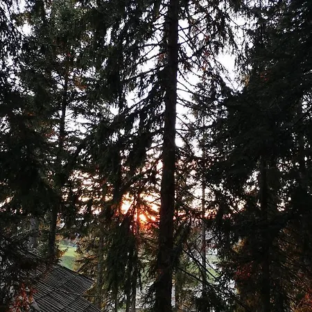 Cosic 公寓 弗拉西克